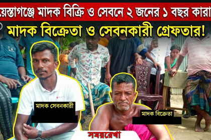 মাদক বিক্রি ও সেবনের অপরাধে দুইজনকে ১ বছর করে জেল