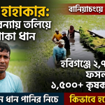 সব হারিয়ে দিশেহারা দেড় হাজারেরও বেশি কৃষক