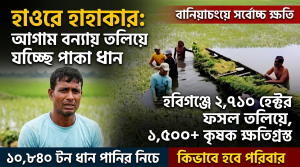 সব হারিয়ে দিশেহারা দেড় হাজারেরও বেশি কৃষক