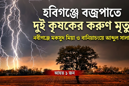 ধান কেটে ঘরে ফেরা হলো না আব্দুল সালাম ও মকসুদ মিয়ার