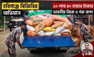 সীমান্তে চোরাচালান রুখে ১০ লাখ টাকার জিরা ও গরু আটক করল বিজিবি
