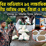 বিজিবির অভিযান: পাথরের নিচে লুকানো অবৈধ ওষুধ ও জিরা উদ্ধার