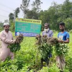 চিনা বাদাম চাষে কৃষক আরফান আলীর সাফল্যের গল্প