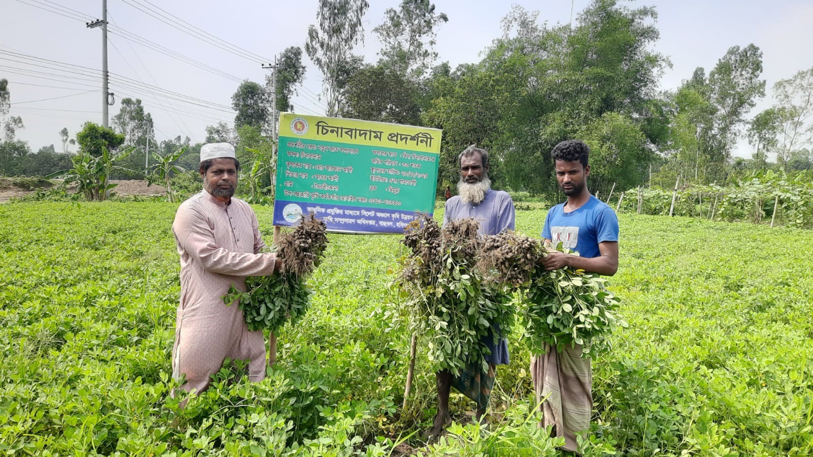 চিনা বাদাম চাষে কৃষক আরফান আলীর সাফল্যের গল্প