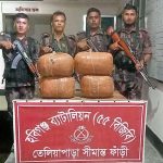 ভারতীয় ২০ কেজি গাঁজা ও ২ বোতল বিয়ার জব্দ