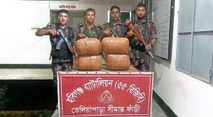 ভারতীয় ২০ কেজি গাঁজা ও ২ বোতল বিয়ার জব্দ