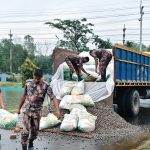 ৯৫ লক্ষাধিক টাকার ভারতীয় অবৈধ ওষুধ, জিরা ও কাঠ জব্দ