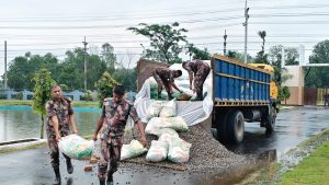 ৯৫ লক্ষাধিক টাকার ভারতীয় অবৈধ ওষুধ, জিরা ও কাঠ জব্দ