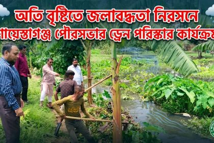 জলাবদ্ধতা নিরসনে শায়েস্তাগঞ্জ পৌরসভার ড্রেন পরিষ্কার কার্যক্রম