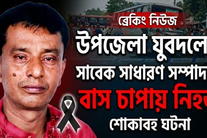 উপজেলা যুবদলের সাবেক সাধারণ সম্পাদক বাস চাপায় নিহত