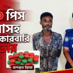 ৩৫০ পিস ইয়াবাসহ মাদক কারবারি গ্রেফতার
