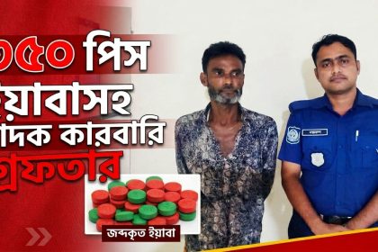 ৩৫০ পিস ইয়াবাসহ মাদক কারবারি গ্রেফতার