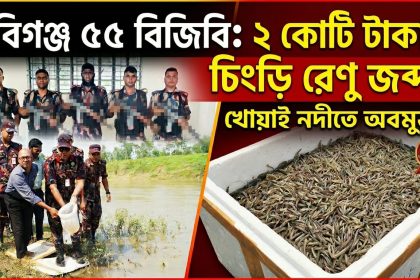 ভারতীয় গলদা চিংড়ি মাছের রেণু পোনা জব্দ করে নদীতে অবমুক্ত