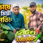 দুলাল মিয়ার জমিতে যেন সবুজের সমারোহ