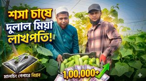 দুলাল মিয়ার জমিতে যেন সবুজের সমারোহ