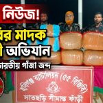 বিজিবির মাদক বিরোধী অভিযানে ৫২ কেজি ভারতীয় গাঁজা জব্দ