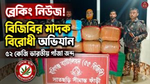 বিজিবির মাদক বিরোধী অভিযানে ৫২ কেজি ভারতীয় গাঁজা জব্দ