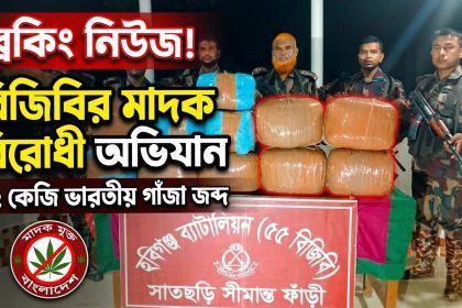বিজিবির মাদক বিরোধী অভিযানে ৫২ কেজি ভারতীয় গাঁজা জব্দ