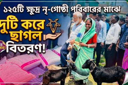 ১২৫টি ক্ষুদ্র নৃ-গোষ্ঠী পরিবারের মাঝে দুটি করে ছাগল বিতরণ