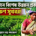 চা বাগানে ২০ লাখ টাকার বিশেষ উন্নয়ন প্রকল্প