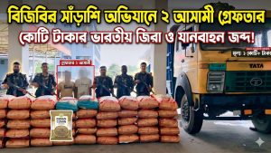 বিজিবির অভিযানে ২০০ বস্তা ভারতীয় জিরাসহ দুইজন গ্রেফতার