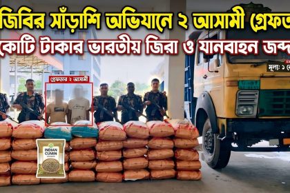 বিজিবির অভিযানে ২০০ বস্তা ভারতীয় জিরাসহ দুইজন গ্রেফতার