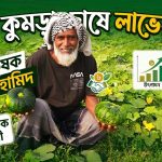 মিষ্টি কুমড়া চাষে লাভবান কৃষক হামিদ