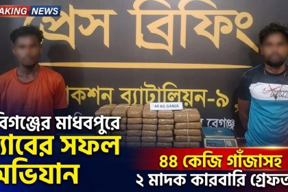 ৪৪ কেজি গাঁজাসহ দুই মাদক কারবারি গ্রেফতার