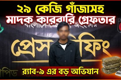 ২৯ কেজি গাঁজাসহ মাদক কারবারি গ্রেফতার