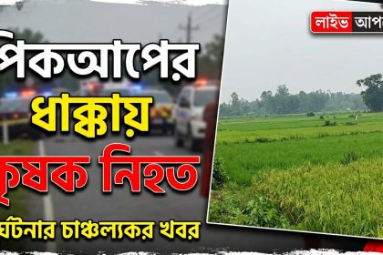 পিকআপ ভ্যানের ধাক্কায় এক কৃষক নিহত