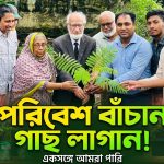 সংকট মোকাবেলায় সবচেয়ে কার্যকর উদ্যোগ হলো বৃক্ষরোপণ