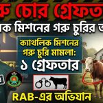 ক্যাথলিক মিশনের গরু চুরির মামলায় একজন গ্রেফতার