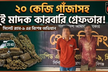 ২০ কেজি গাঁজাসহ দুই মাদক কারবারি গ্রেফতার