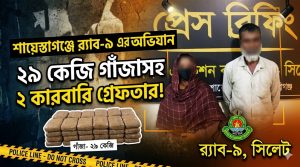 শায়েস্তাগঞ্জ থেকে ২৯ কেজি গাঁজাসহ দুই মাদক কারবারি গ্রেফতার