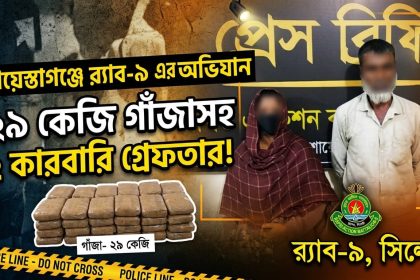 শায়েস্তাগঞ্জ থেকে ২৯ কেজি গাঁজাসহ দুই মাদক কারবারি গ্রেফতার