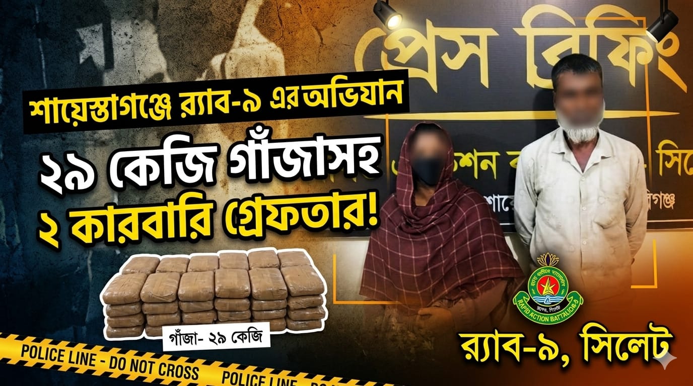 শায়েস্তাগঞ্জ থেকে ২৯ কেজি গাঁজাসহ দুই মাদক কারবারি গ্রেফতার