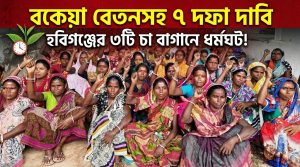 বকেয়া বেতনসহ ৭ দফা দাবিতে হবিগঞ্জের ৩টি চা বাগান কর্মবিরতি
