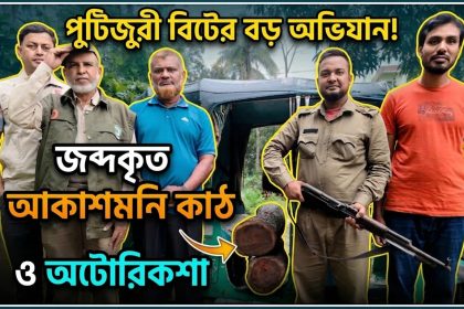 বনাঞ্চল থেকে কাটা গাছ জব্দ করেছে বন বিভাগ