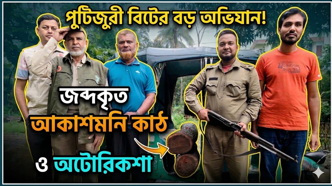 বনাঞ্চল থেকে কাটা গাছ জব্দ করেছে বন বিভাগ