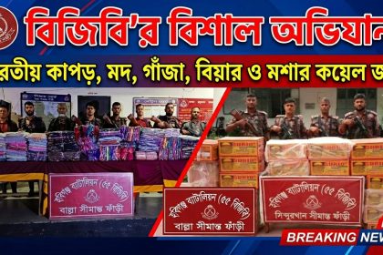 ভারতীয় কাপড় মদ গাঁজা বিয়ার ও বাংলাদেশী মশার কয়েল জব্দ