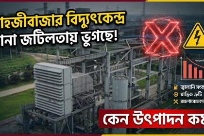 শাহজীবাজার বিদ্যুৎকেন্দ্র নানা জটিলতায় ভুগছে