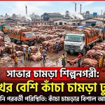 শিল্পনগরীতে পাঁচ লাখের বেশি কাঁচা চামড়া ঢুকেছে
