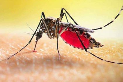 একদিনে ডেঙ্গুতে ৫ জনের মৃত্যু