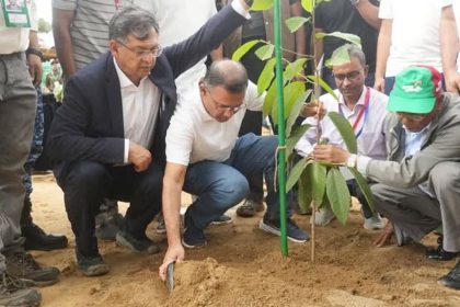 ২৫ কোটি বৃক্ষরোপণ কর্মসূচির উদ্বোধন করেছেন প্রধানমন্ত্রী