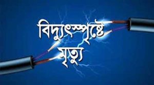 বিদ্যুৎস্পৃষ্ট হয়ে বাবা ও ছেলের মৃত্যু