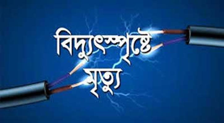 বিদ্যুৎস্পৃষ্ট হয়ে বাবা ও ছেলের মৃত্যু