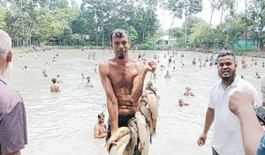 পলো দিয়ে মাছ ধরা উৎসব অনুষ্ঠিত