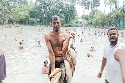 পলো দিয়ে মাছ ধরা উৎসব অনুষ্ঠিত