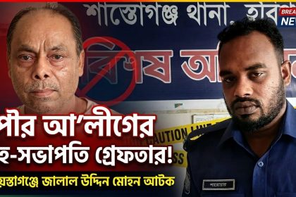 পৌর আওয়ামী লীগের সহ-সভাপতি মোহন গ্রেফতার