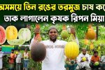 তরমুজ চাষে তাক লাগালেন কৃষক রিপন